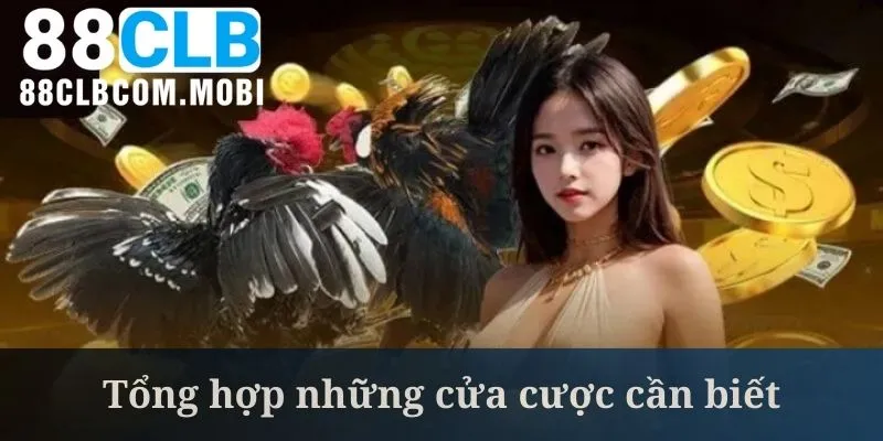 Nắm vững cách chơi đá gà online qua các cửa cược