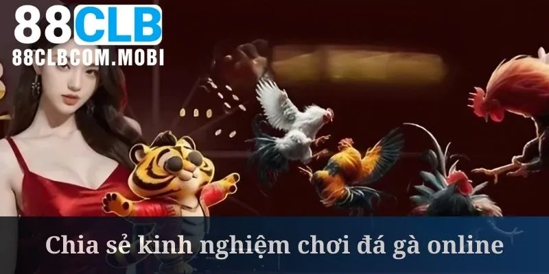 Cách chơi đá gà online thông minh là chọn nhà cái uy tín