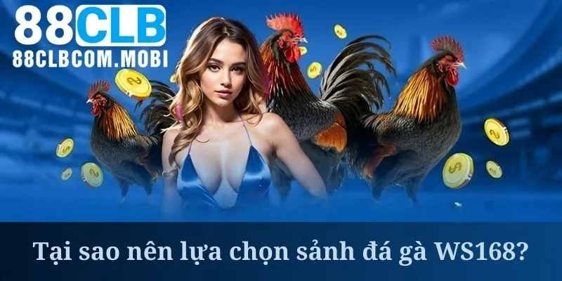 Sảnh đá gà WS168 gây chú ý nhờ hệ thống bảo mật chất lượng